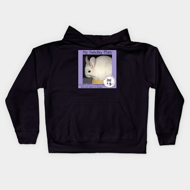 Chinchilla inspirational thoughts Kids Hoodie by canchinrescue